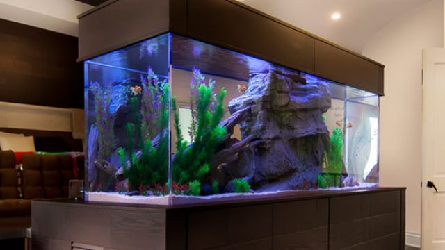 How Can I Get Custom Designs and Prints for My Aquarium?