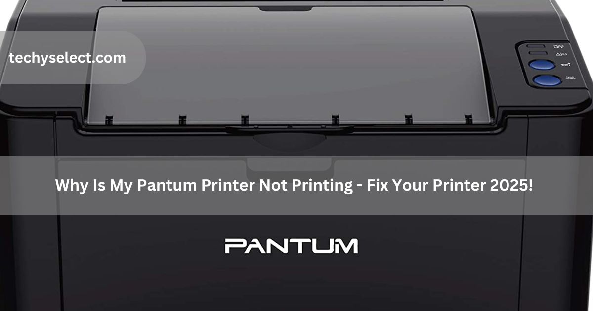 why is my pantum printer not printing